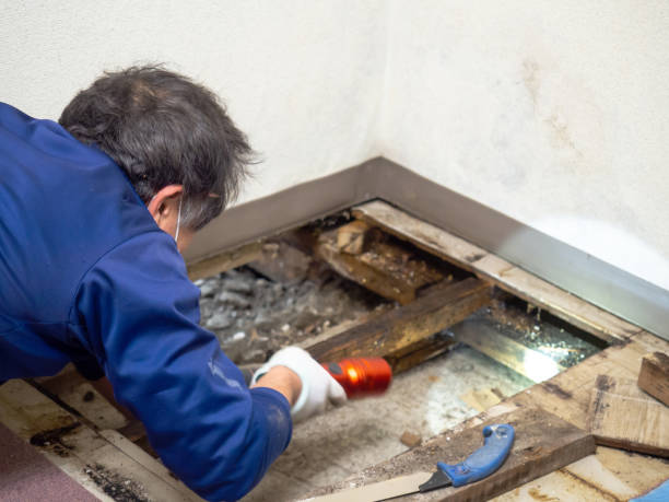 Best Bathroom Mold Remediation in Reidsville, GA
