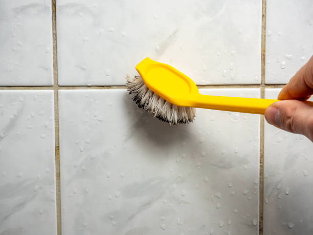Best Commercial Mold Remediation in Reidsville, GA