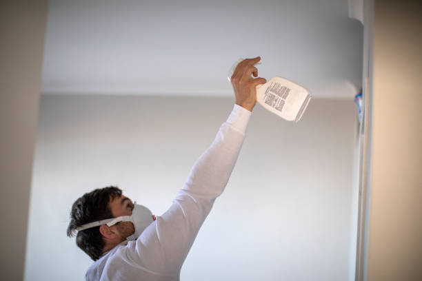 Trusted Reidsville, GA Mold Remediation Experts